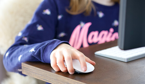 Online-Shoppen liegt im Trend